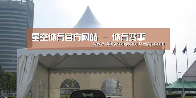 案例标题八(图1)