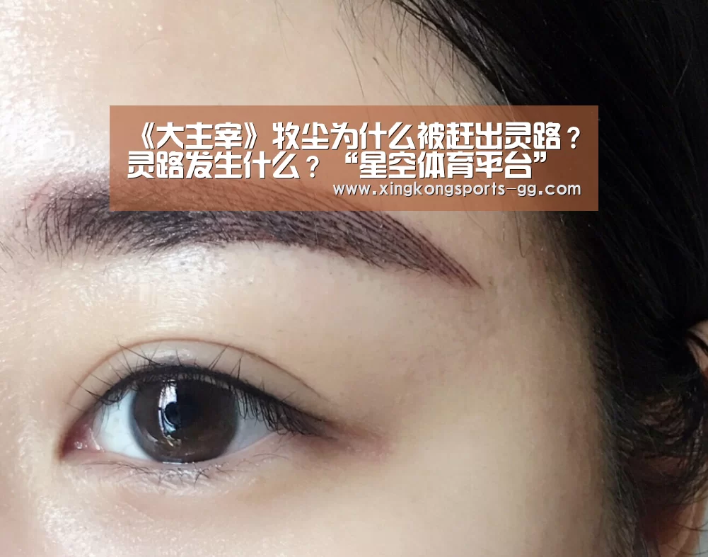 《大主宰》牧尘为什么被赶出灵路?灵路发生什么?“星空体育平台”(图2) 星空官网