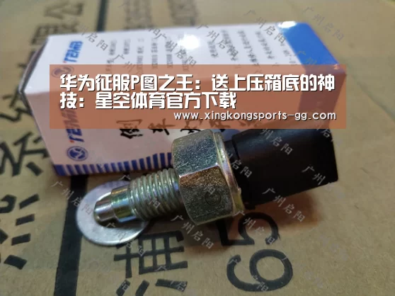 华为征服P图之王:送上压箱底的神技:星空体育官方下载(图3) 星空体育app登录