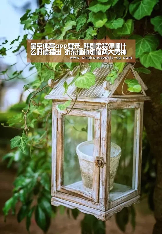 星空体育app登录_韩剧金装律师什么时候播出 张东健朴炯植两大男神联合出演(图4) 星空体育app登录