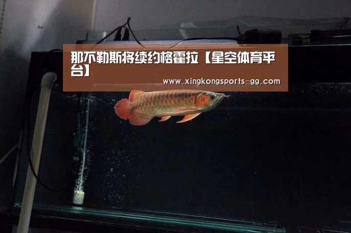 星空体育app登录