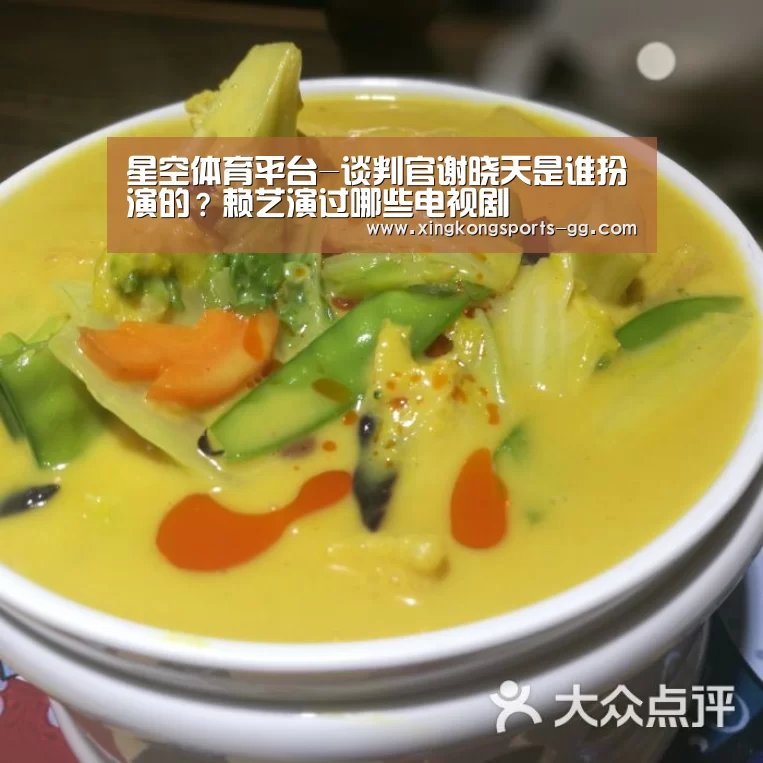 星空体育平台-谈判官谢晓天是谁扮演的?赖艺演过哪些电视剧(图2) 星空官网